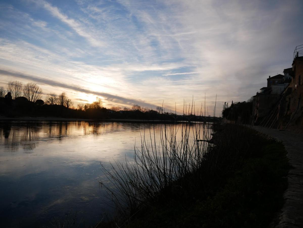 Hotel Restaurant Cote Garonne Le Balcon Des Dames - Tonneins Fauillet Marmande - Vue Panoramique Bord De Garonne Chambres Climatisees المظهر الخارجي الصورة