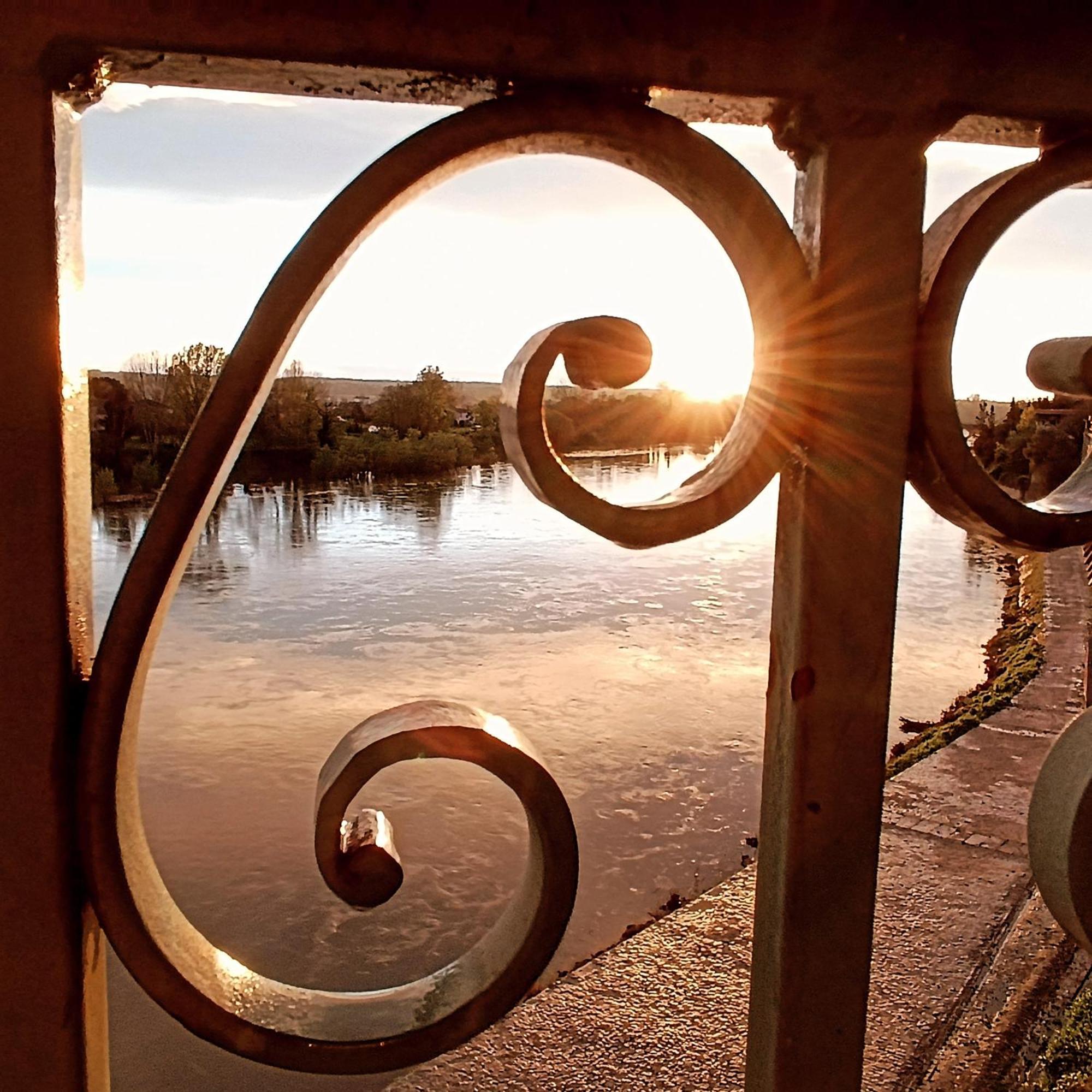 Hotel Restaurant Cote Garonne Le Balcon Des Dames - Tonneins Fauillet Marmande - Vue Panoramique Bord De Garonne Chambres Climatisees المظهر الخارجي الصورة